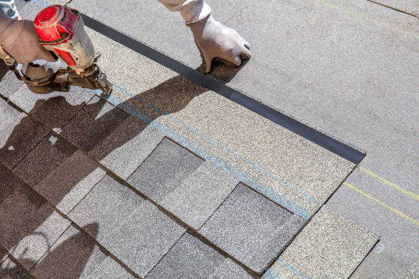 Best Metal Roofing Contractor  in Johnstonville, CA